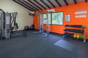 sccspa weights sccspa weights
