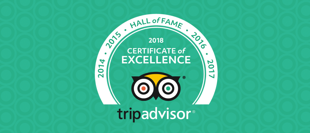 TripAdvisor Award