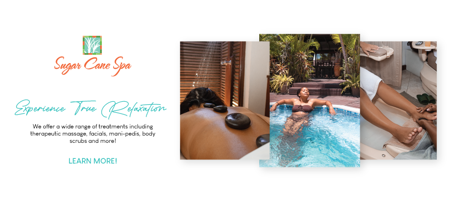 2024 SCC Website images Spa OPT 2