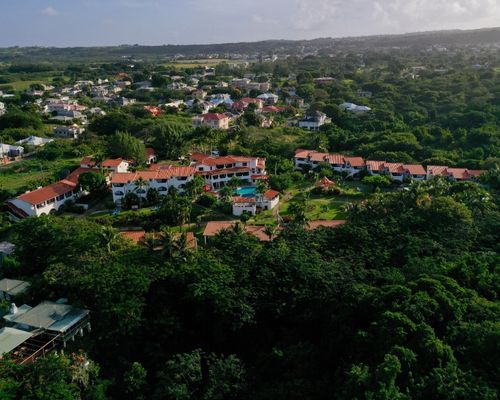 island safari Barbados 500 X 400 SCC