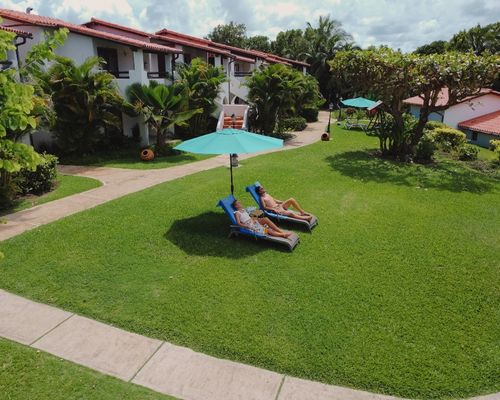 sun bathing on lawn scc 500 X400
