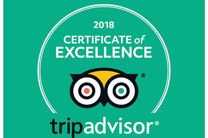 trip advisor logo